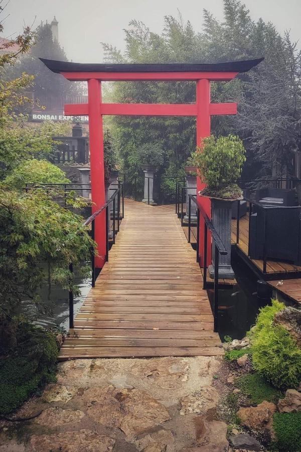禅博物馆盆景公寓 辛特拉 外观 照片
